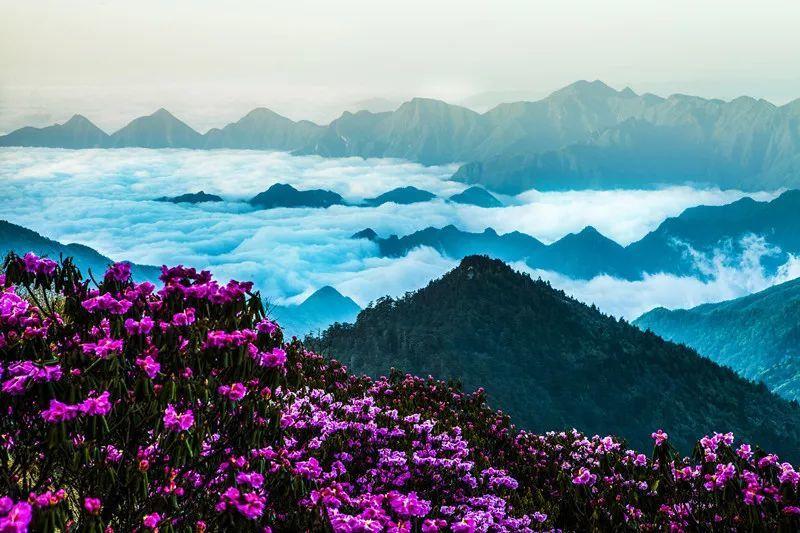 苏伊士运河“世纪大堵船”,是否对中国经济构成影响?知识问答网—专业回答你的疑问